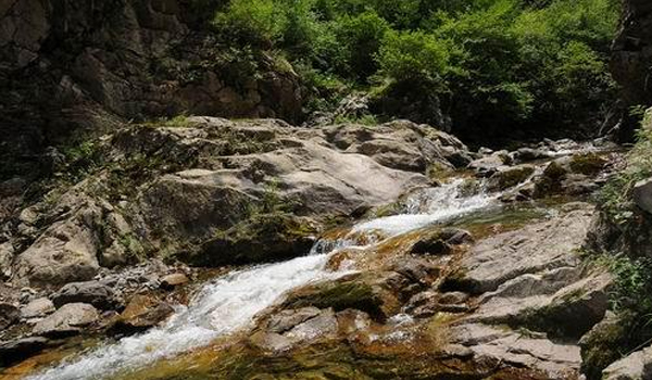 发现青海春游药水台