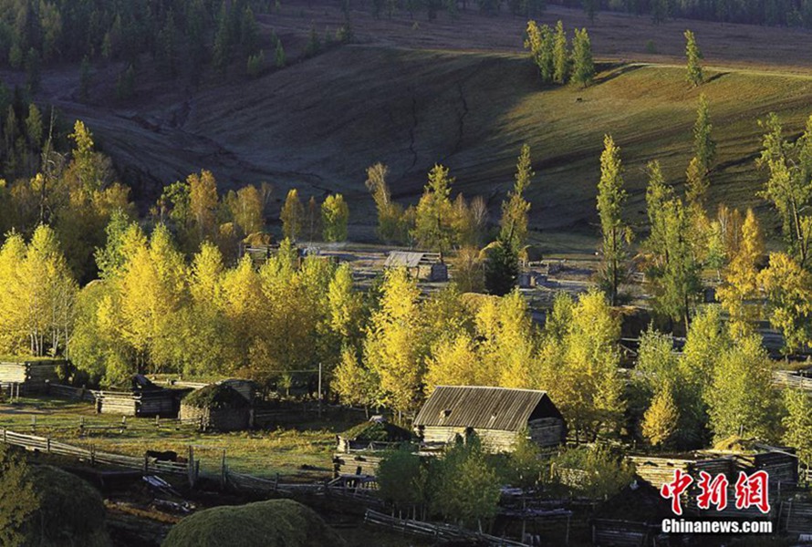 雪域高原风光秀丽视频,雪域高原的美丽风景