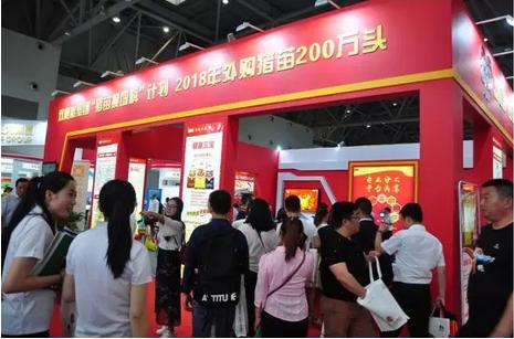 名不虚传双胞胎,双胞胎畜牧博览会