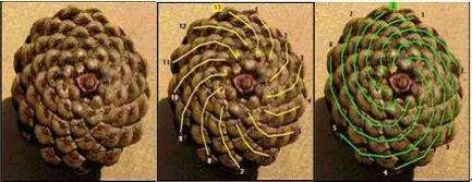 找到2到n中间的素数,怎么判断素数是不是素