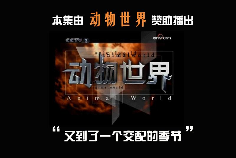 像范爷和GaGa那样，Howto把动物图案穿出高逼格？