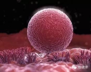 伊能静谈备孕难,伊能静自述备孕二胎经历