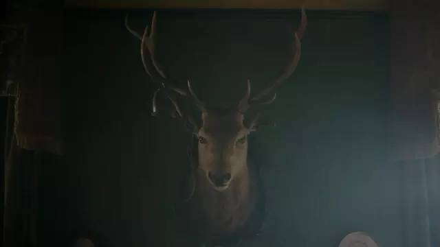 神探夏洛克最终的谜题解析,神探夏洛克是以谁的视角写的