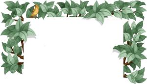 那些年你错过的片段,那些年你错过的夕阳