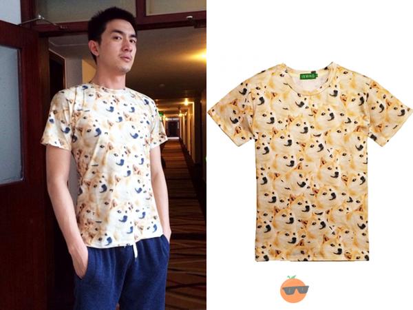 像范爷和GaGa那样，Howto把动物图案穿出高逼格？