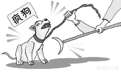 如果有一只疯狗咬你怎么办,如果一条疯狗咬你你会怎么样做