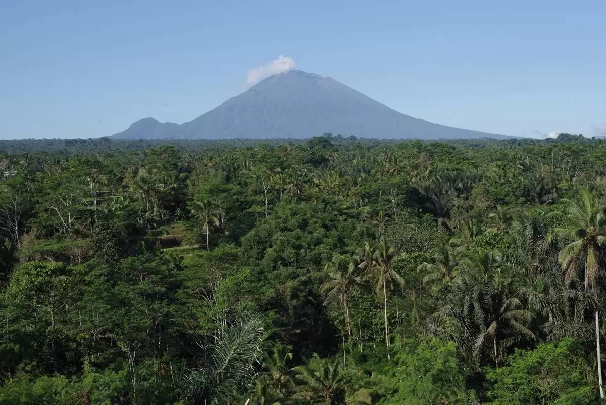 鐞嗗厜瀹惧緱k1浜屼唬瑙嗛,浣撻獙鐩告満