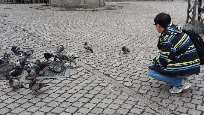 北欧四国丹、瑞、挪、芬，不是穷游的穷游（多图杀猫，字多慎入）