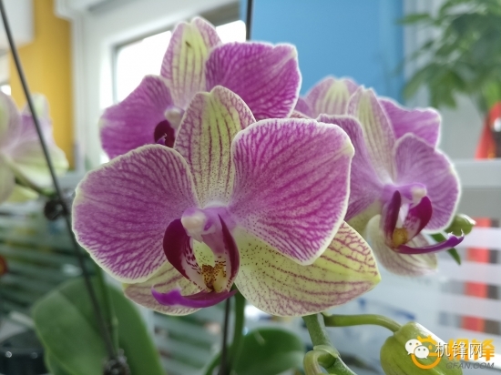 一加3g手机评测,一加手机3的续航能力如何