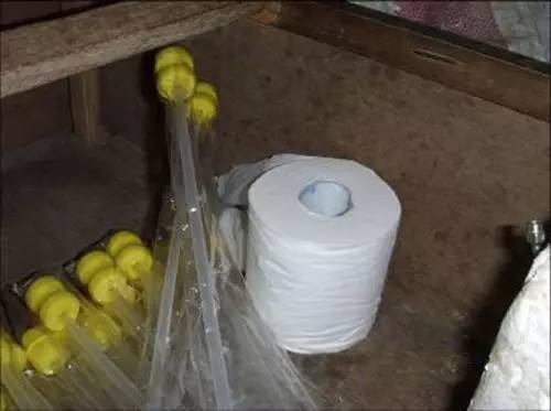 猪人工授精插管不到位,猪人工授精失败了