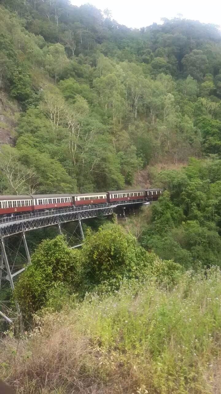 澳大利亚昆士兰自由行攻略,去澳大利亚昆士兰州旅游攻略