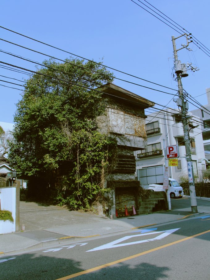 日本东京两人旅游,日本东京到北海道