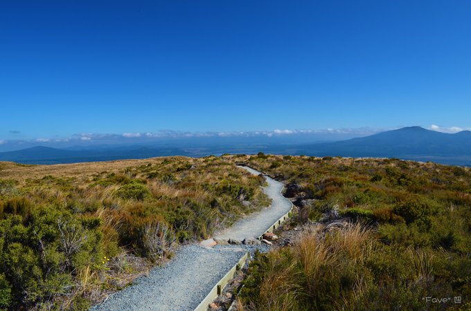 趁年轻我们一起去旅行,趁年轻我们一起去旅行吧