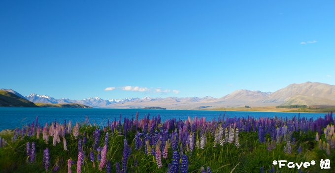 趁年轻我们一起去旅行吧,趁年轻我们一起去旅行