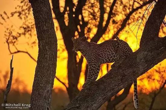 颜值高的十个省,颜值最高的十个省份