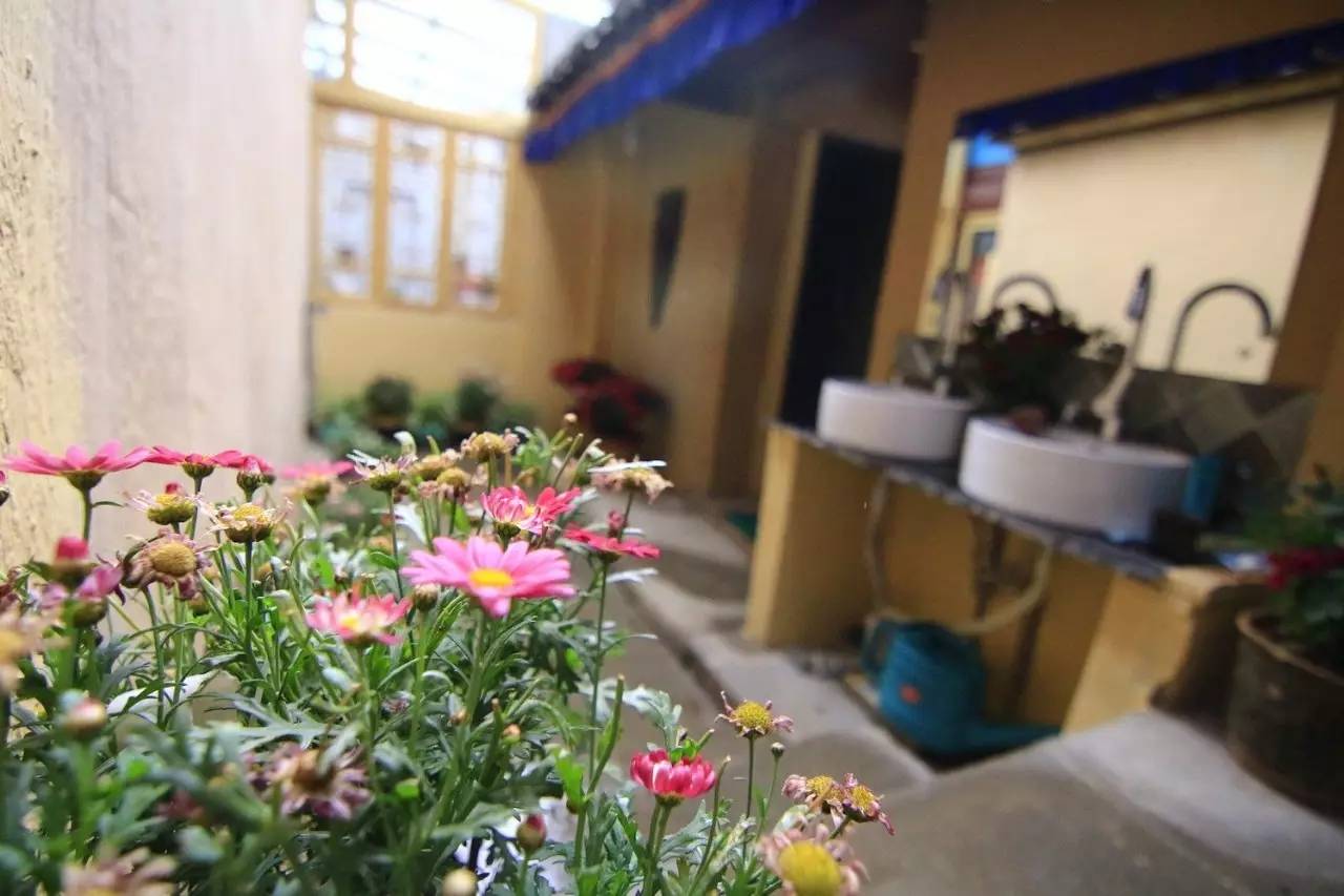 丽*青江**旅：愿你的颠沛流离，终将被妥善安放