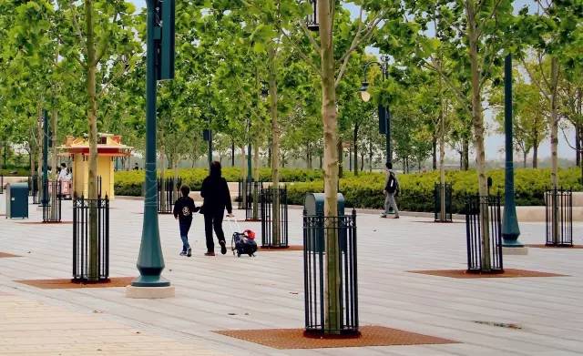 建迪士尼过程,迪士尼建造管理