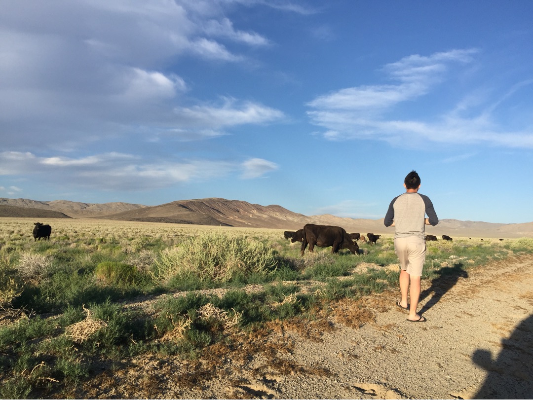 美国自驾游租车价格,在美国租车自驾游在哪宿营安全