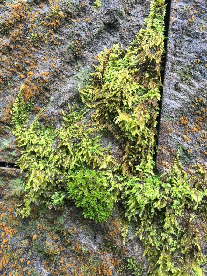 老爸追梦之旅,父亲的圆梦之旅