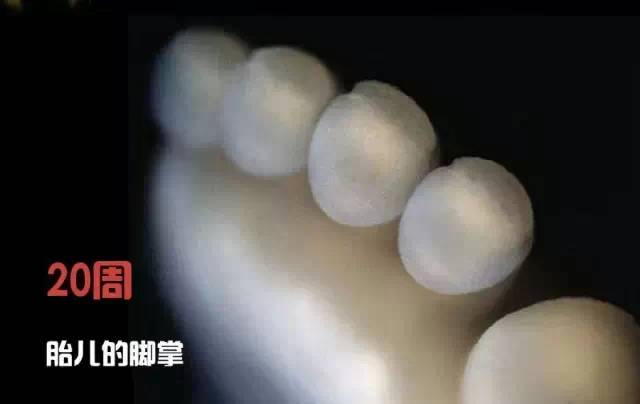 造人计划之前需要做的事,造人计划必须做的事