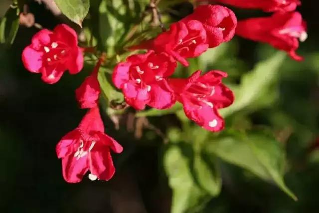 时光不老我们不散的意思是说什么,时光不老我们不散留下美好回忆