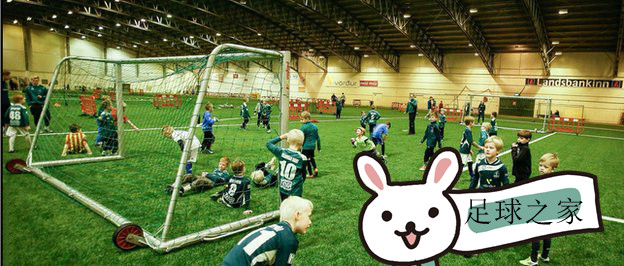 欧洲黑马冰岛比赛,欧洲杯黑马丹麦