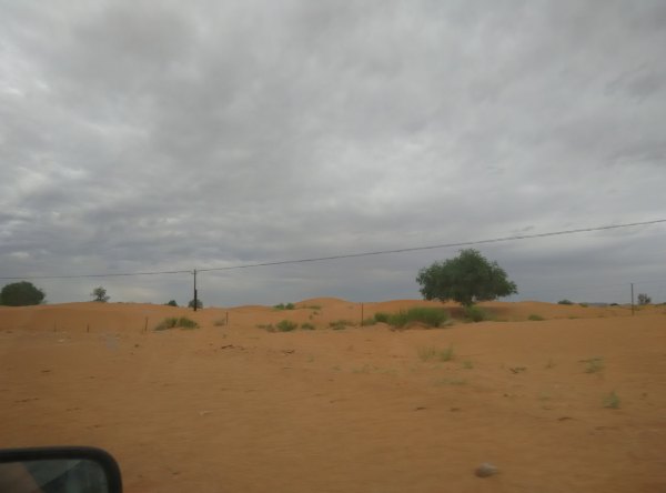 爸爸去哪儿旅游打卡,爸爸去哪儿宁夏中卫沙坡头