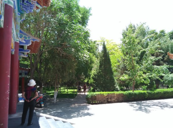 爸爸去哪儿旅游打卡,爸爸去哪儿宁夏中卫沙坡头