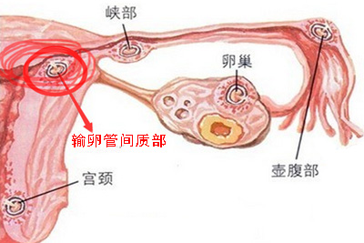 被医生判死刑还有希望吗,被医院判了死刑救不救