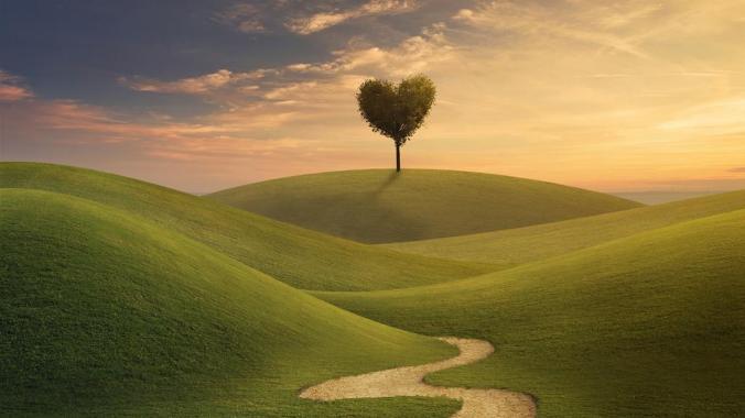 Daniel妈专栏|儿子早早有了大学专业方向，只因我做了这些