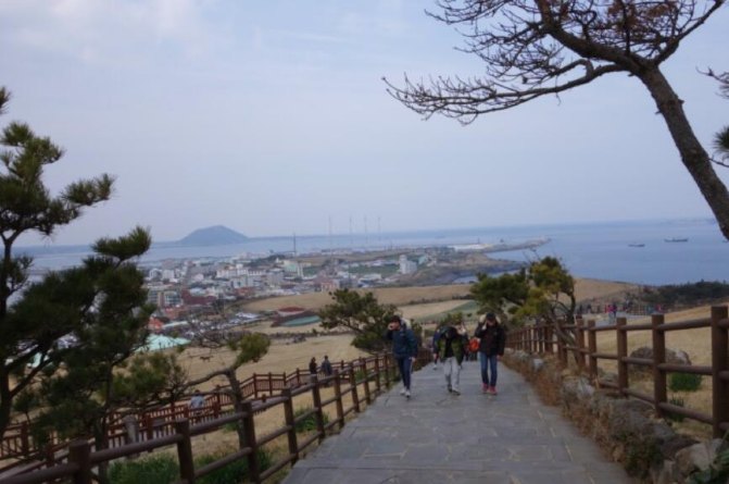 济州岛租车价格一览表,中国人如何在济州岛租车