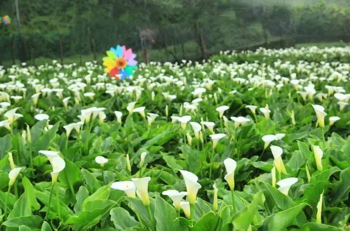 在中国最值得去的城市,中国哪里能媲美阿尔卑斯山