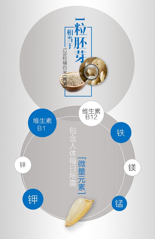 脚气病患者的福音,脚气病日本人