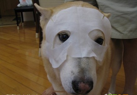 台湾面膜什么牌子的好,台湾面膜十大品牌排行