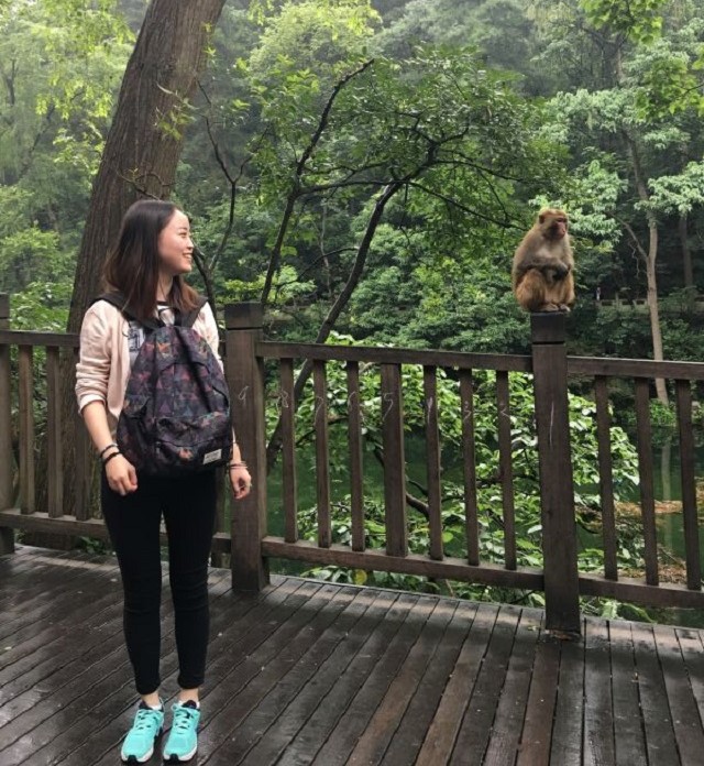 花溪哪些地方适合旅游,花溪哪里旅游最好