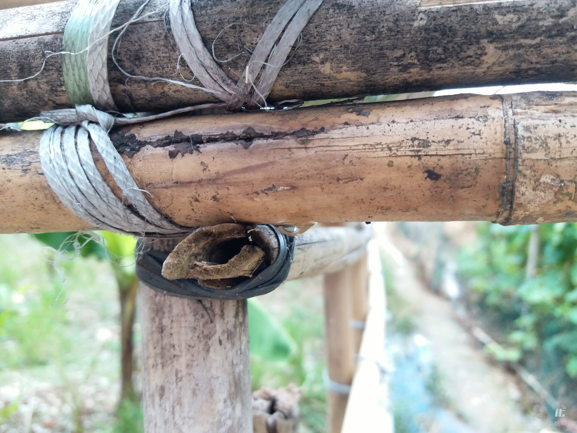 三星galaxyc5首发价,三星galaxyc5价格及参数配置