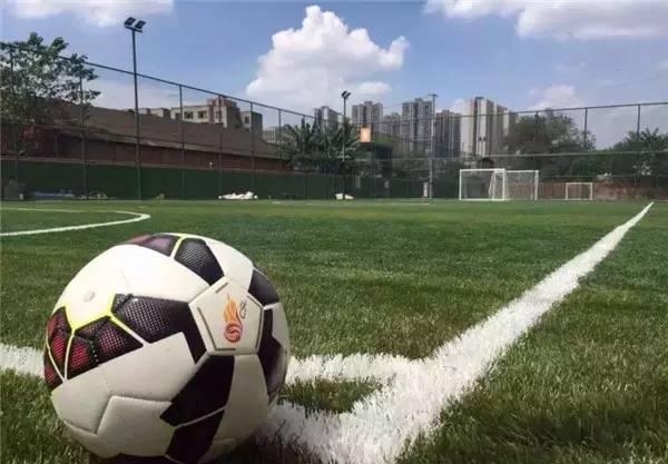 欧洲杯足球在哪里踢得好,欧洲杯足球场地在哪里