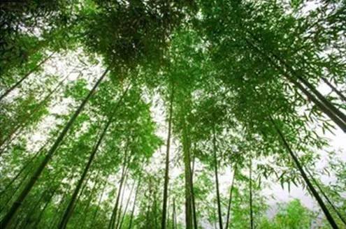 杭州下班遇到大暴雨,下班时间杭州有大暴雨吗