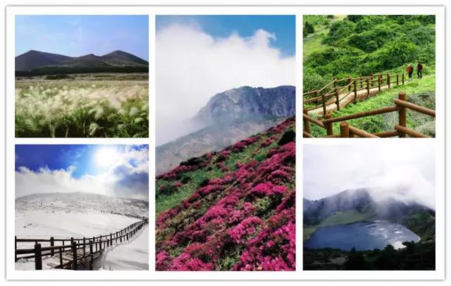 夏天就去济州岛逛逛吧，攻略已备好！