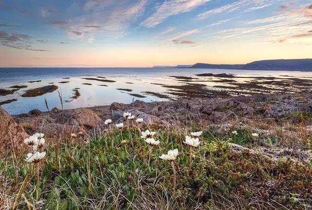 冰岛战胜英格兰维京战吼,冰岛2比1英格兰维京战吼