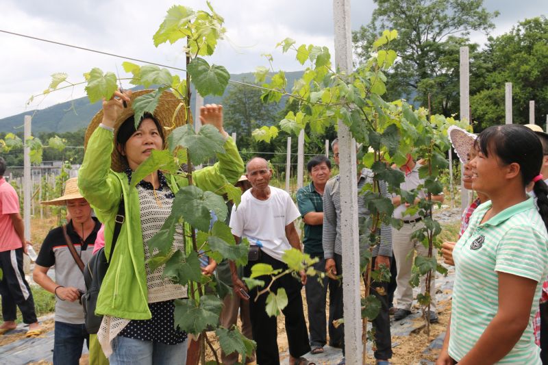读图广西0701|柳州防二手烟呼吸装置引起网友的关注和同情