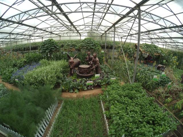 带上小蚁运动相机游潍坊（三）寿光菜博会