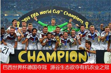 普京评价世界杯事件,普京谈俄罗斯无缘世界杯