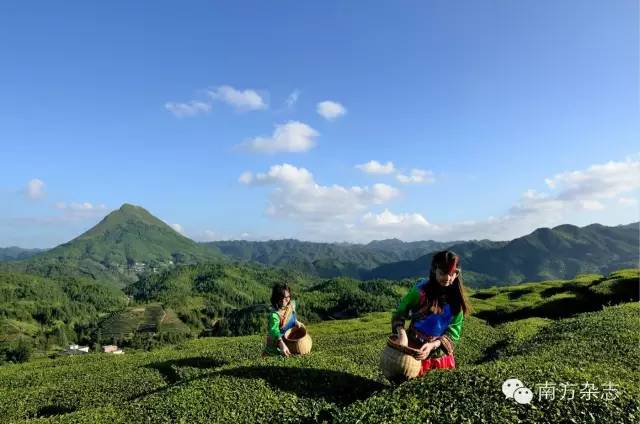 丰顺和大埔,大埔丰顺篮球比赛