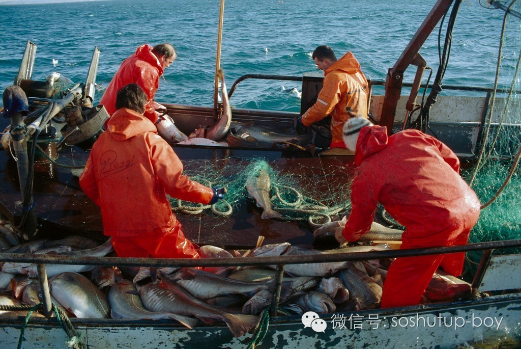 足足输了50年球的捕鱼小国，靠一支鲜肉神勇足球队玩起了满世界圈粉运动~