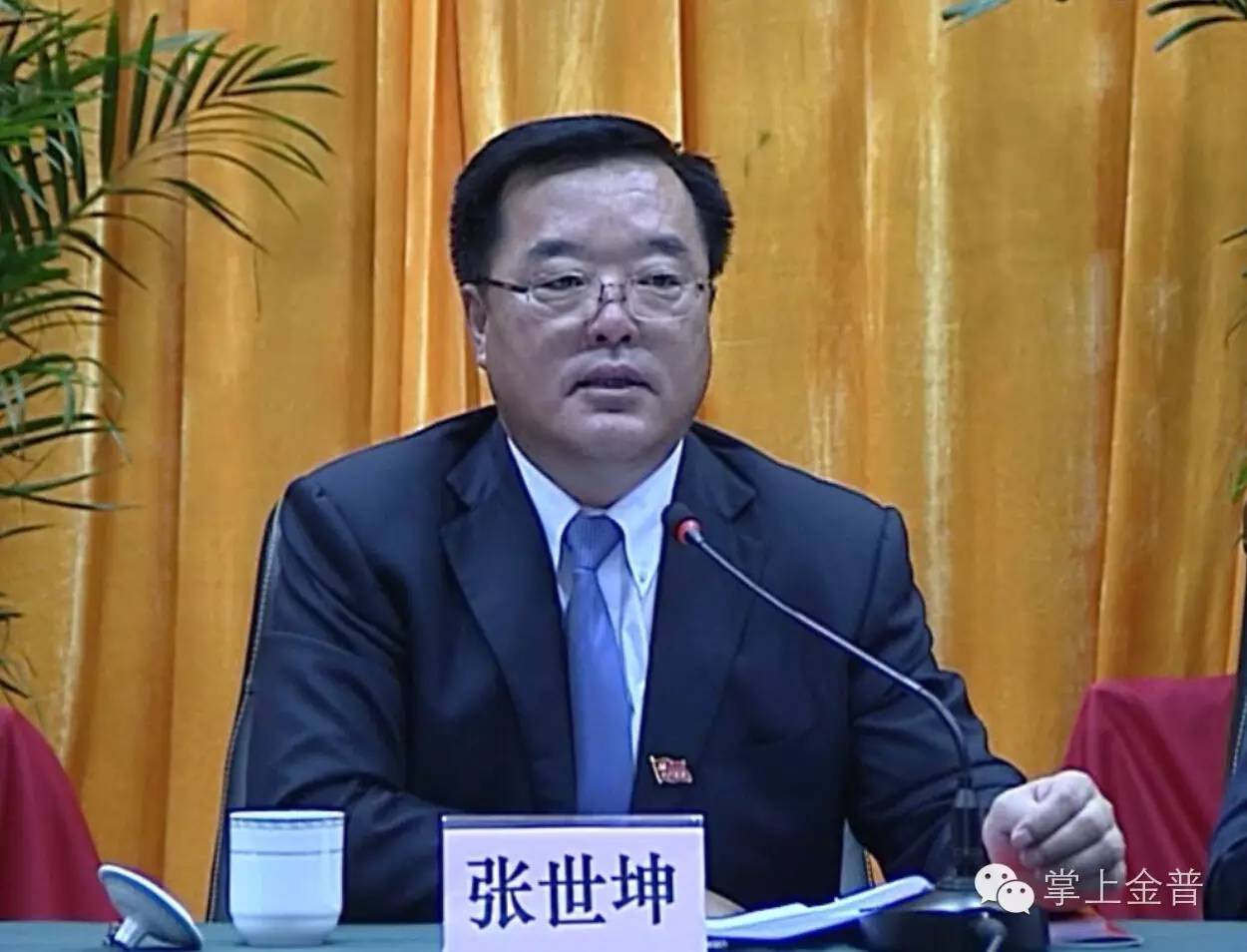 大连金普新区主任张世坤 (大连金普新区张世坤)