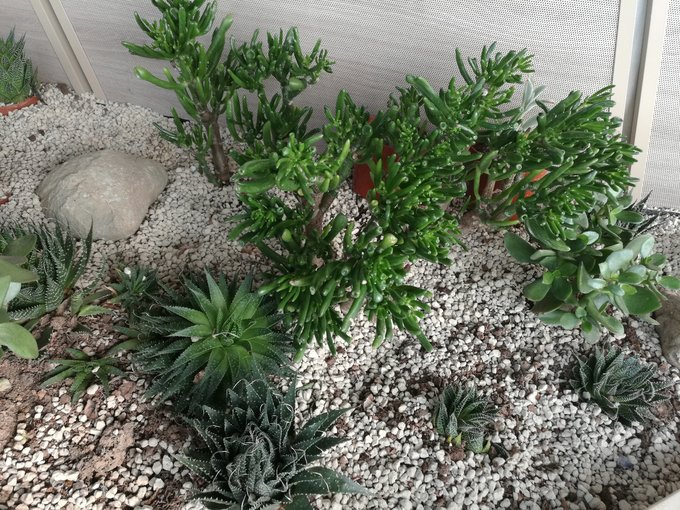 冲绳4天4晚日韩邮轮之旅,游轮旅行韩国游记