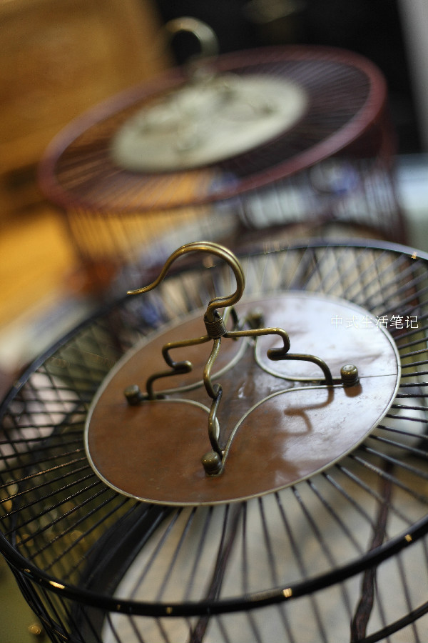 提笼架鸟说明什么,提笼架鸟视频