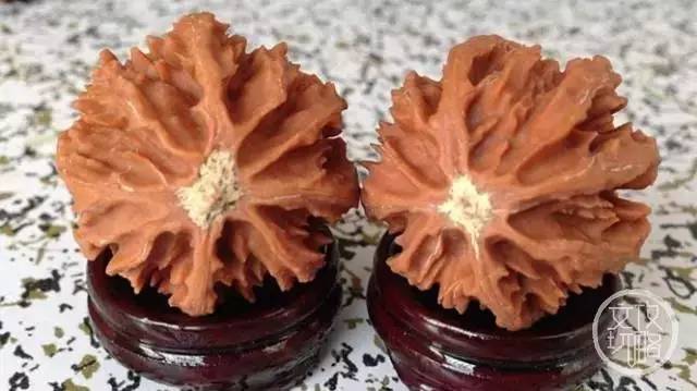 老婆和妈掉水里先救谁正确答案,媳妇和孩子掉水里先救谁最佳答案