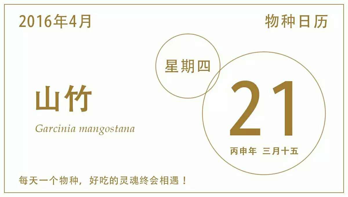 那些年吃过的山竹,山竹怎样选母的